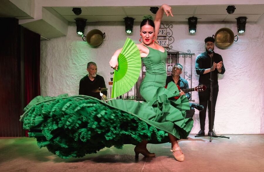Torremolinos: Flamenco Show with Drinks - Who will enjoy this Torremolinos evening