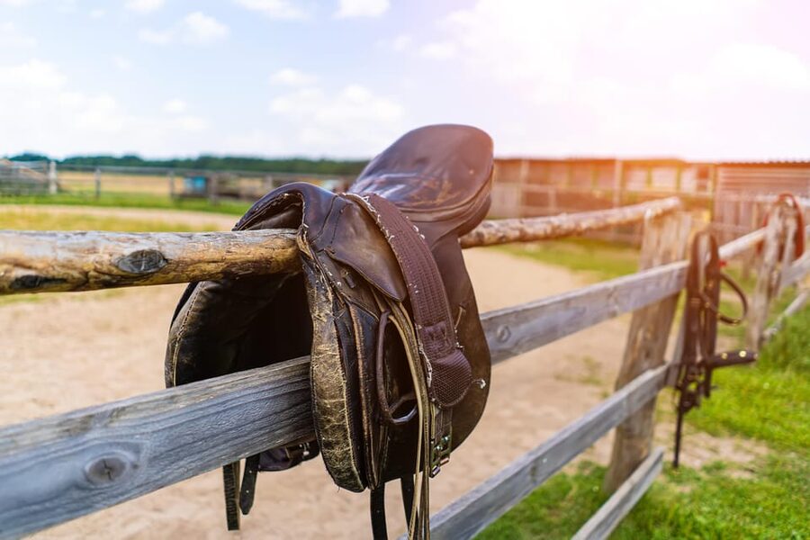 Torremolinos: Guided tour to stables of El Ranchito - Should you book the El Ranchito stable visit?