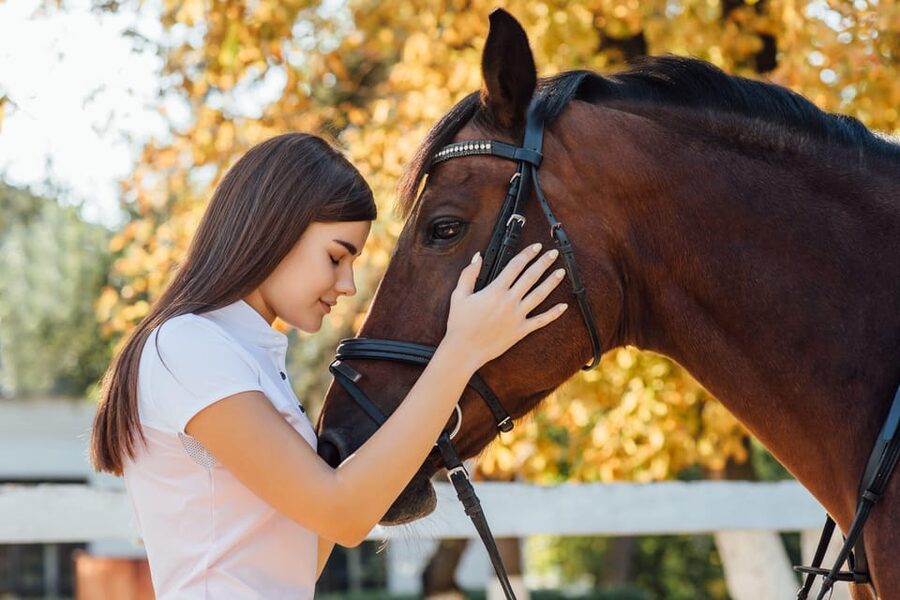 Torremolinos: Guided tour to stables of El Ranchito - Meeting the stars of Ritmo a Caballo