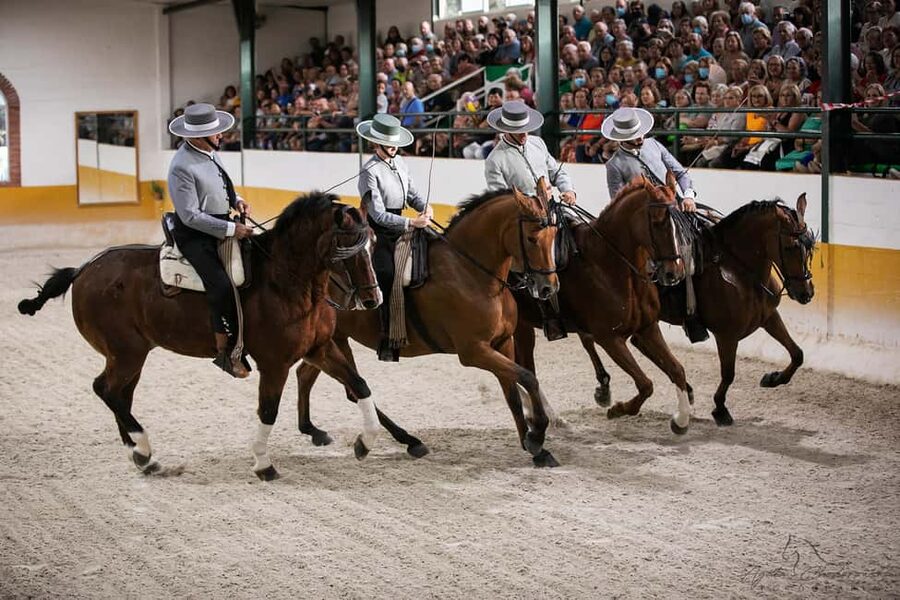 Torremolinos: Spanish horse show and flamenco with dinner option - Choosing Between the Show and Dinner Package