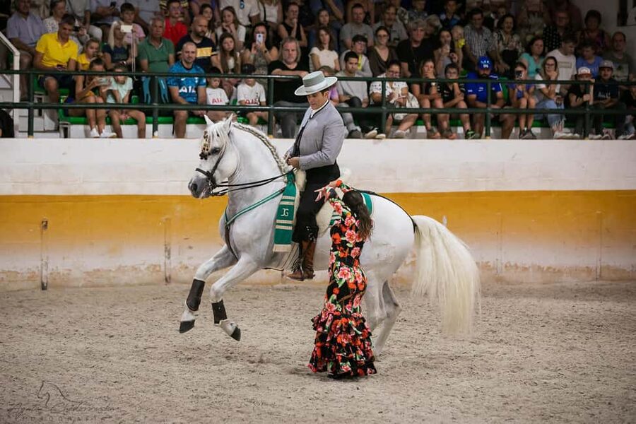 Torremolinos: Spanish horse show and flamenco with dinner option - Seating, Sightlines, and Mobility