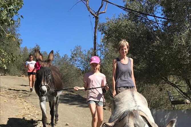Tour the Sanctuary and Walk with the Donkeys and Share their Love - Meeting rescued donkeys at Donkey Dreamland