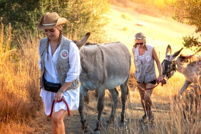 Tour the Sanctuary and Walk with the Donkeys and Share their Love - Why the sanctuary setting matters