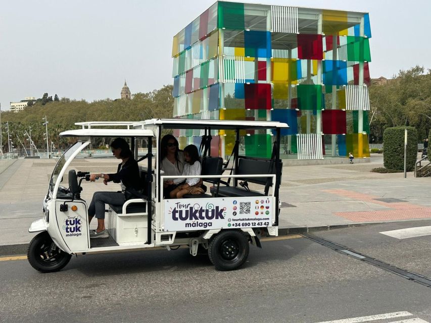 Tour TukTuk Málaga - Gardens, fountains, and the Pompidou Centre
