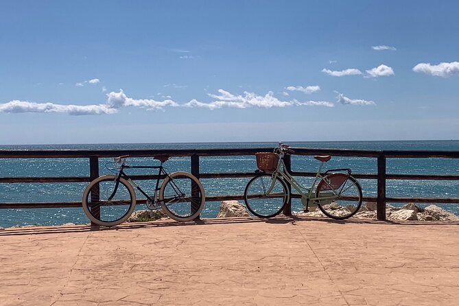 Vintage Style Bike Rental in Malaga - A full day on a vintage bike in Malaga