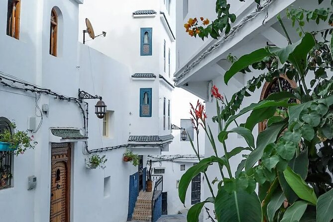 Vip Full Day Private Tangier Tour From Malaga All Inclusive - What the private format changes