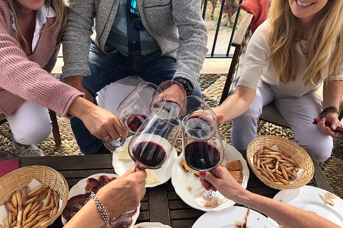 VIP Ronda Wine Tour and Tasting and Gourmet Lunch Experience with Winemaker - Why this Ronda wine day feels different
