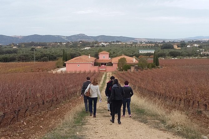 VIP Ronda Wine Tour and Tasting and Gourmet Lunch Experience with Winemaker - Who will enjoy this private wine tour
