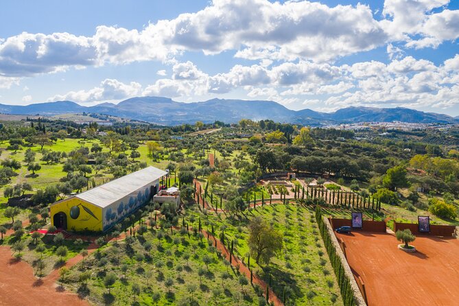 Visit Oil Mill Museum and Olive Oil Tasting in Ronda - Key things to know before booking