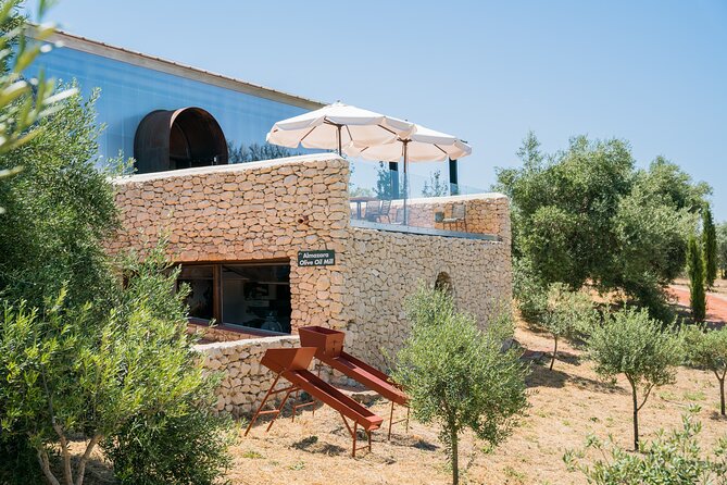 Visit Oil Mill Museum and Olive Oil Tasting in Ronda - Walking through olive groves, vineyards, and art