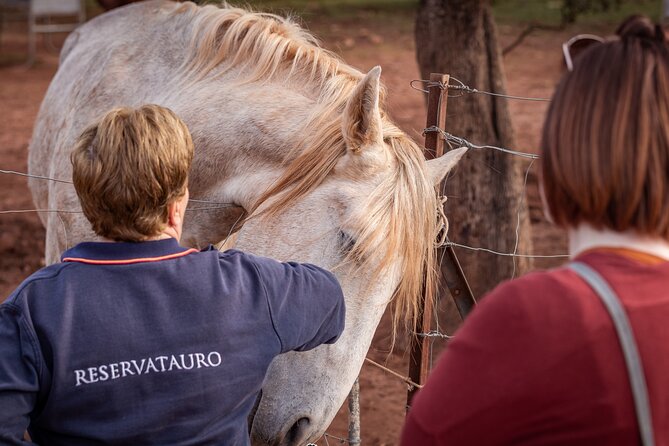 Visita Entre Toros y Caballos - A working ranch near Ronda, not a staged animal show