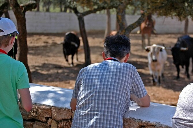 Visita Entre Toros y Caballos - Trying the capote and muleta in the practice ring