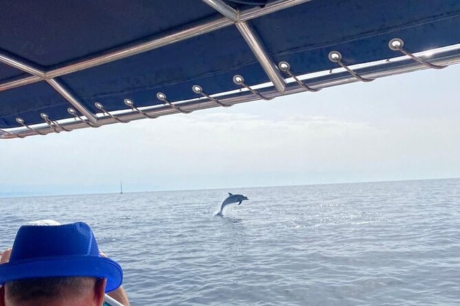 Walk and dolphin watching in Fuengirola + 1 drink - Setting out from Fuengirola port