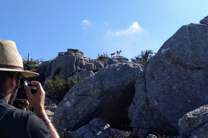 Walking among Ammonites, El Torcal de Antequera - Why El Torcal feels unlike anywhere else in Andalusia