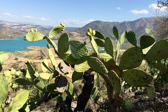Wine, Tapas & Lake Zahara by e-bike incl Ronda pickup (full day) - Why the E-Bike Changes the Experience