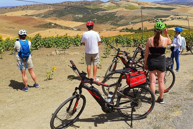 Wine, Tapas & Lake Zahara by e-bike incl Ronda pickup (full day) - Ronda Return Transfer After the Ride