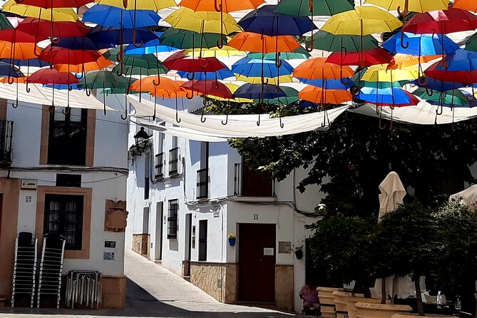Wine & Tapas tour by electric bike (e-bike) including Ronda pickup (full day) - A private group with room to adjust