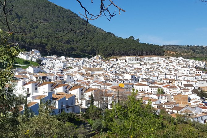 Wine & Tapas tour by electric bike (e-bike) including Ronda pickup (full day) - Ronda pickup and the return transfer