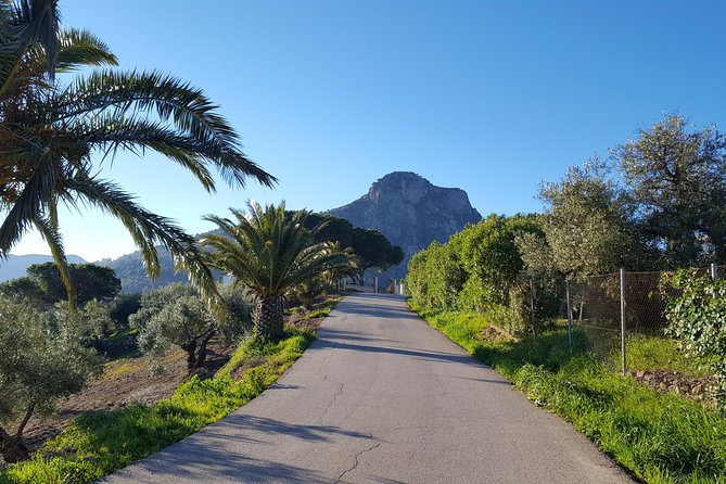 Wine & Tapas tour by electric bike (e-bike) including Ronda pickup (full day) - Who will get the most from this experience