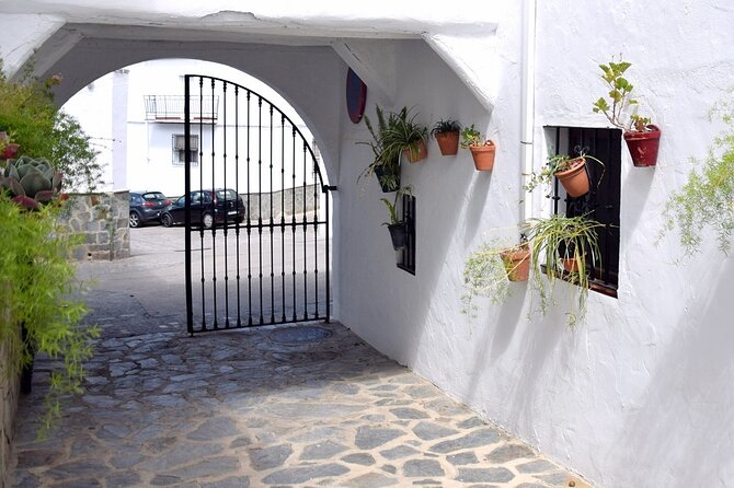 Wine & Tapas tour by electric bike (e-bike) including Ronda pickup (half day) - Getting started at 2 p.m. in Ronda