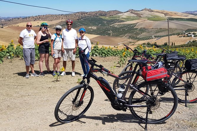 Wine & Tapas tour by electric bike (e-bike) including Ronda pickup (half day) - El Jaral, El Gastor, and Montecorto by e-bike